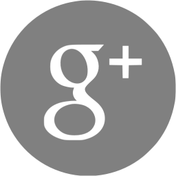 google-plus-4-256